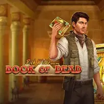 Book of Dead play slot
